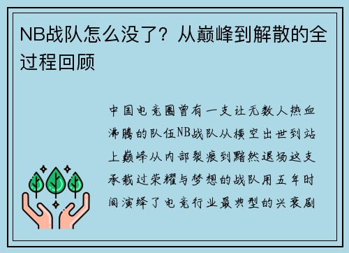 NB战队怎么没了？从巅峰到解散的全过程回顾